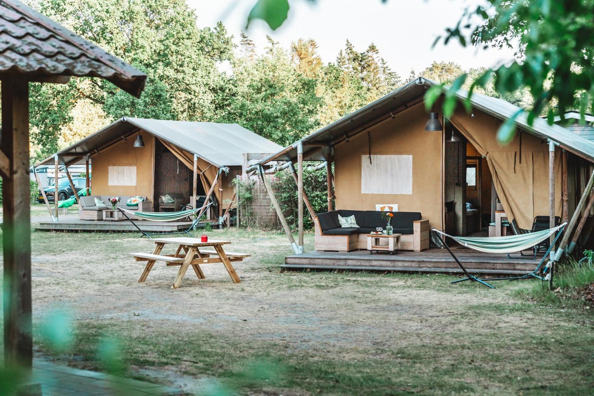Glamping Holten Luxe Safaritent 1 Ngoại thất bức ảnh